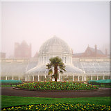 J3372 : The Palm House, Belfast by Rossographer
