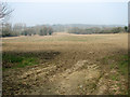 Fields north of Ringland Lane