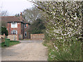 Flowering shrubs in Station Road