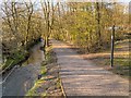 Path by the Sankey Canal, Stanley Bank