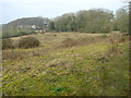 View across Bloods Dale