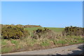 Farmland at Mayhaar