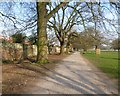 Path along the edge of Bushy Park