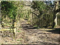 Track on Bottle Hill