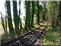 Footpath goes south west from Sages Lane