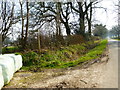 Fawley Lane looking south from footpath junction