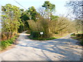 Access road to Basing Barns leaves Sages Lane