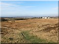 Mynydd Cadle Common