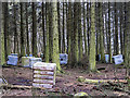 Paintball site near Meikle Mosside