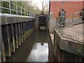 Sluice on Golden Brook