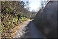 West Somerset : Country Lane