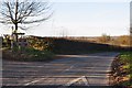 West Somerset : Beech Tree Cross