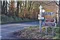 West Somerset : Beech Tree Cross