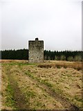 NT1854 : Survey tower, Deepsyke Forest by Alan O'Dowd