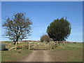 Southern end of Foxen Dole Lane, Higham