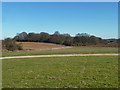 View east from Sawbridgeworth cemetery