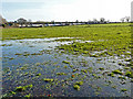 Waterlogged field near Hammonds Pond