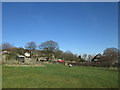 Arriving at Newchurch in Pendle on the Pendle Way