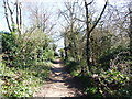 Footpath leading from Star Lane to Darland Banks