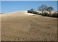 TL4837 : Dry fields in early spring by John Sutton