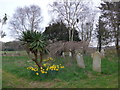 Spring in Nursling Churchyard (5)