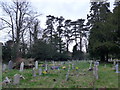 Spring in Rownhams Churchyard (1)