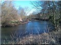 River Wear east of Durham