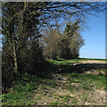 Arkesden: footpath to Newland End