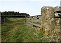 An Old Gatepost