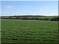 Farmland, Forest Hill