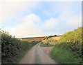 Port Lane southwest of Harleston