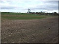 Farmland off Mansfield Road