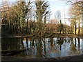 TQ3309 : Lot's Pond, Stanmer Park by Simon Carey