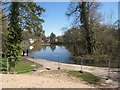 South Pond, Midhurst