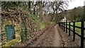 Track beside Cragg Wood