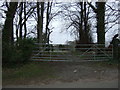 Field entrance off Ricket Lane