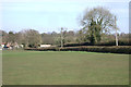 Hedges along Bell Green Lane, Bell Green