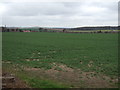 Farmland off Peafield Lane