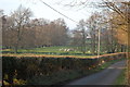 Sheep grazing at Cubley