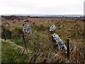 Standing stones, Broughderg