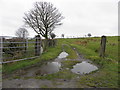 Gate and lane, Broughderg