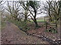 Llwybr Arfordir Casllwchwr / Loughor Coastal Path