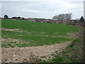 Farmland towards Budby