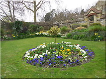 TQ4109 : Flowerbed at Southover Grange by Paul Gillett