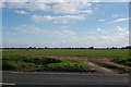 Field opposite Oldbury Farm