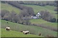 West Somerset : Countryside Scenery