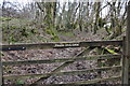 West Somerset : Muddy Path & Gate