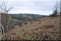 West Somerset : Countryside Scenery