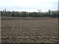 Ploughed field, Meden Vale