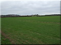 Farmland off the A616